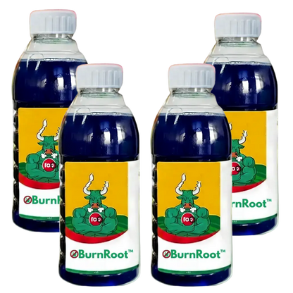 BurnLeaf