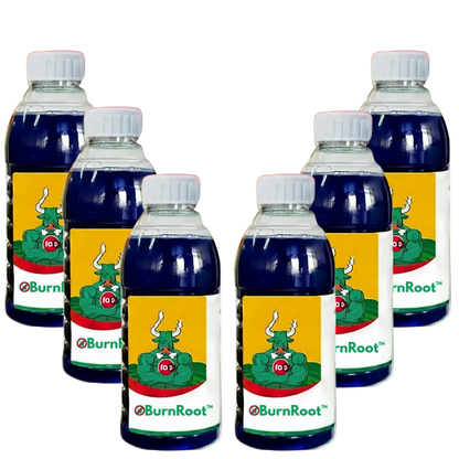 BurnLeaf