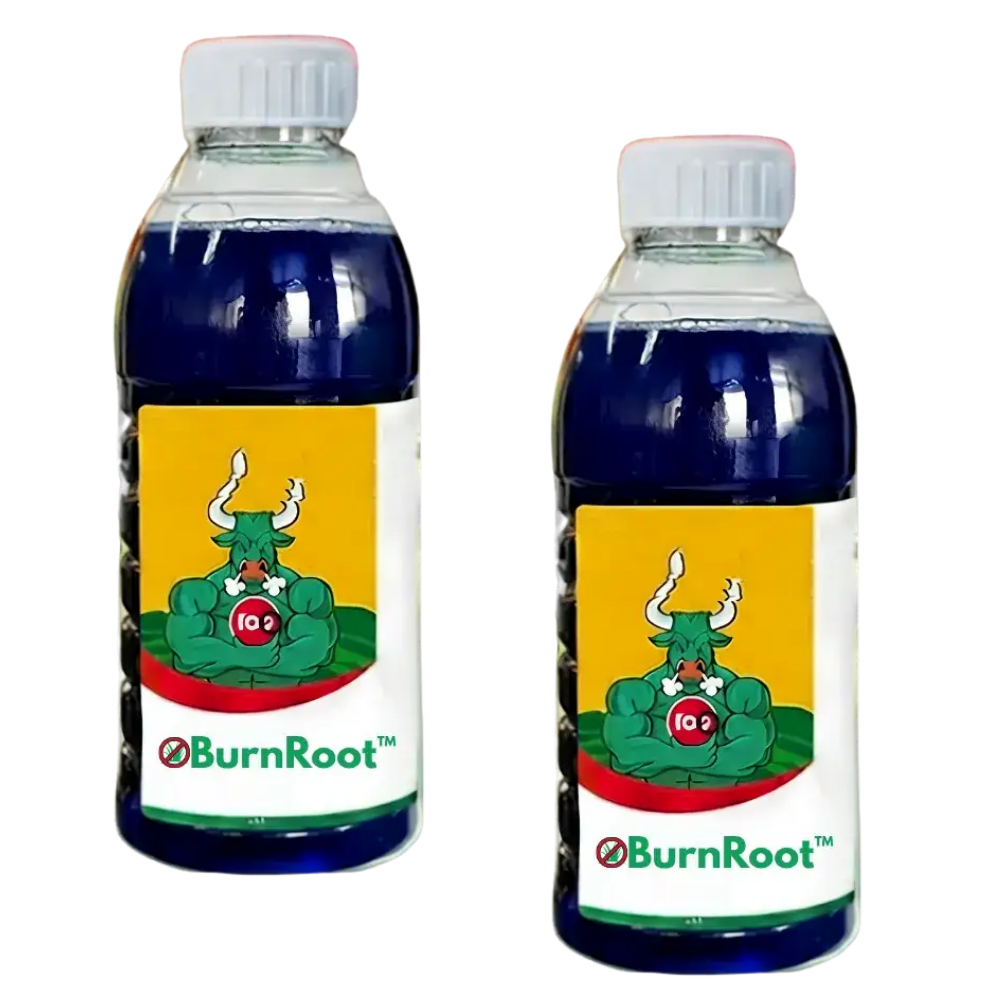 BurnLeaf