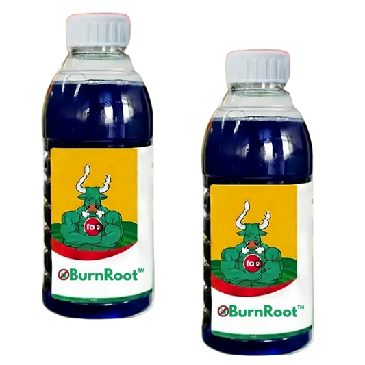 BurnLeaf